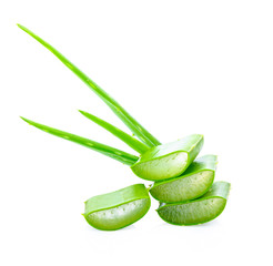 Aloe vera sliced on white background