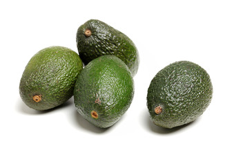 Avocado on a white background