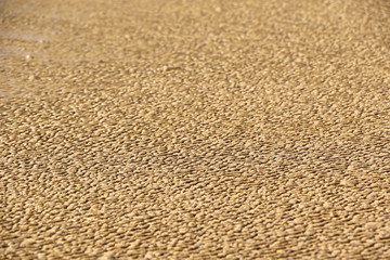 Unusual ripples in beach sand
