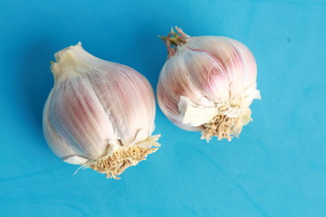 head of garlic in colorful background