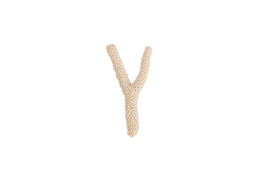 Single texture formed white porous coral. Boho image of coral stick isolated on white background