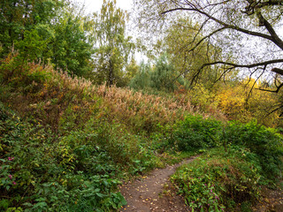 Fototapeta na wymiar Autumn, Park, path, trees.