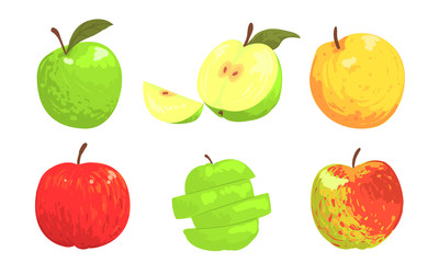 Collection of Colorful Apples, Red, Green, Yellow Whole and Sliced Apples Vector Illustration