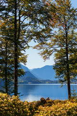 Herbst am Ufer des Grundlsee