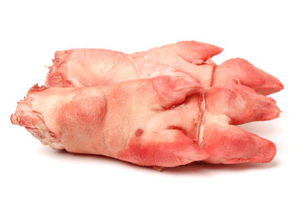 fresh pig trotter on white background 