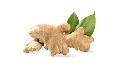 Ginger root with leaves isolated on white background.