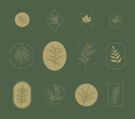 Monochromatic botanical logo collection set. flat design style minimal vector illustration.