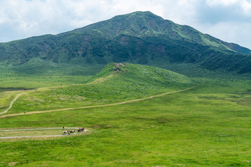 [熊本県]阿蘇・草千里ヶ浜の風景
