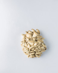 Oyster mushrooms on a white light background