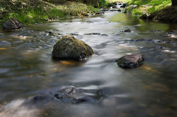 Naklejka na ściany i meble rivière en forêt avec une pierre dans le ruisseau
