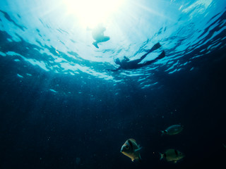 Underwater photo of couple snorkeling in the sea