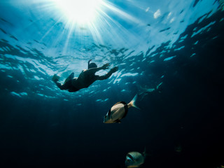 Obraz premium Underwater photo of a men snorkeling in the sea