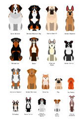 collection of  various breed dog