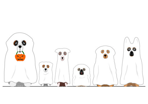 halloween ghosts dogs in a row