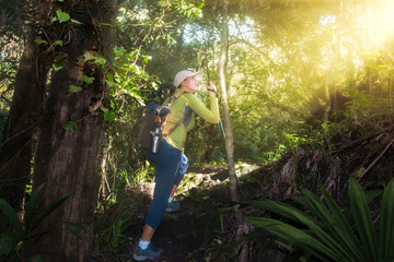 active woman traveler with backpack climbs up the slope in beautiful lush forest in National Park Arusha, Tanzania.