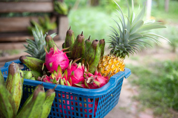 Many fruits in a basket