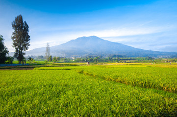 A peaceful view of nature&rsquo;s grandeur, where every detail reveals calm, depth, and endless space