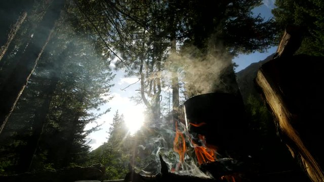 Cooking in a pot over campfire in forest. Campfire outdoors in national park. Cooking meal with open fire and old coocking equipment. Campfire with intence flame and smoke.