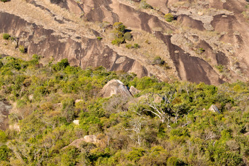 Typical landscape in the south of Madagascar