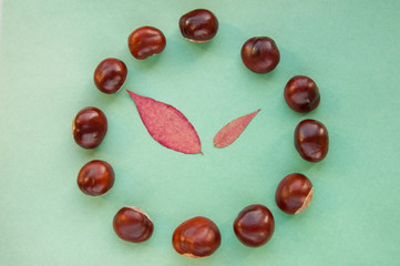 Sweet chestnuts circle on a blank green background. fresh chestnuts ready to roast showing clock and time with red leaves. Top view, copy space. Concepts: autumn, fresh, green, eco