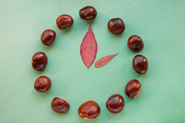 Sweet chestnuts circle on a blank green background. fresh chestnuts ready to roast showing clock and time with red leaves. Top view, copy space. Concepts: autumn, fresh, green, eco