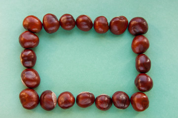 Rectangular frame of sweet chestnuts on a blank green background. Top view, copy space. Concepts: autumn, fresh, green, eco, photoframe