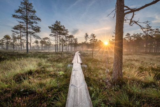 Scenic view from swamp with wooden path and beuatiful sunrise at autumn morning in Finland