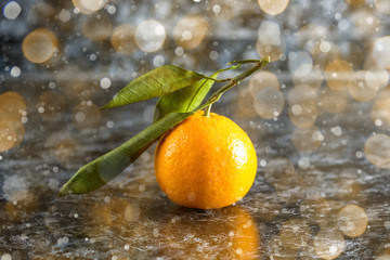 orange tangerines with green leaves on dark background