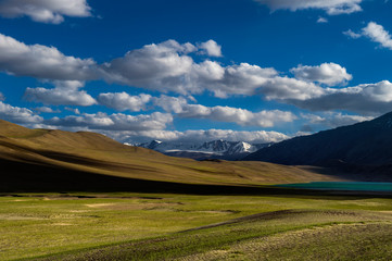 Green Medows near Tsokar Lake,Ladakh,India