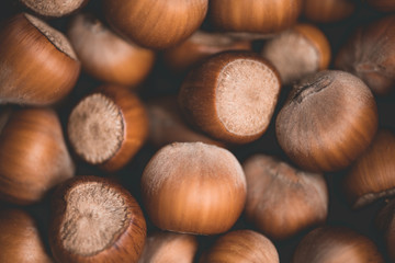 Organic hazel nuts closeup. Healthy lifestyle. Autumn harvesting season.