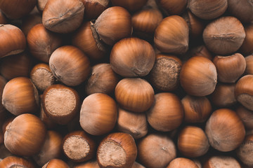 Pile of unpeeled hazelnuts closeup. Autumn season harvesting. Top view.