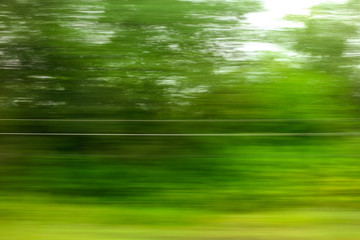 Trees in motion as an abstract background.