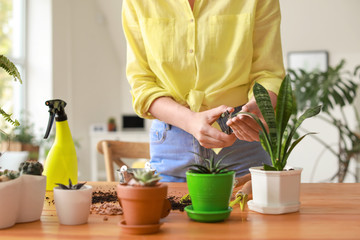 Young woman taking care for houseplants at home
