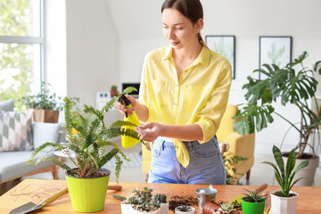 Young woman spraying water on houseplant at home