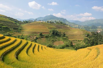 Stickers pour porte Mu Cang Chai Rizières en terrasse vertes, brunes, jaunes et dorées à Mu Cang Chai, au nord-ouest du Vietnam