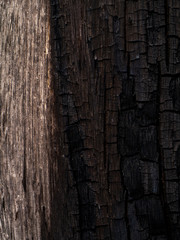 Fototapeta premium The Surface of charcoal background.
