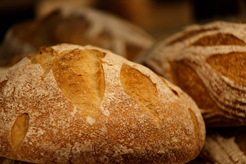 Fresh round rye bread with crispy crust. Close-up, selective focus.