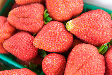 Big fresh strawberries