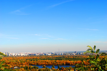 View of the autumn metropolis, autumn trees and high-rise buildings