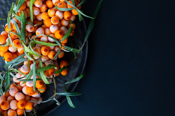 Close up photo of sea buckthorn branch.