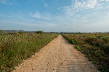 The natural park of the prat of Cabanes and Torreblanca in Castellon