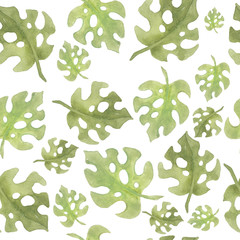 Watercolor monstera leaf pattern, seamless background