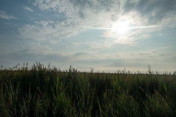 Fototapeta premium The natural park of the prat of Cabanes and Torreblanca in Castellon