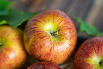 fresh apple fruits in autumn