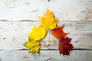Naklejka na ściany i meble Bright autumn leaves on the white rustic desk