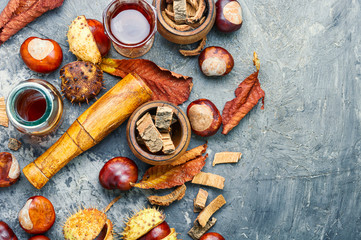 Chestnut in herbal medicine