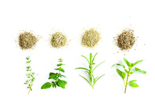 Traditional herbs for italian cuisine. Dries and fresh herbs