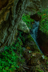 Arroyos en los bosques de Benizar ,Moratalla,Murcia(España)