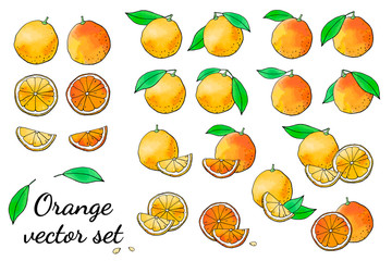 Set of orange fruit doodle icons with watercolor texture. Half, slice, leaf . Summer sweet citrus for juice. For prints, patterns, cards, digital design, decorations. Hand drawn design elements. 
