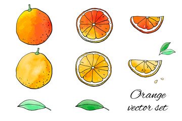 Lemon fruit icons with watercolor texture. Vector stock set. Cute doodles. Summer fruit, bright citrus for lemonade and cocktail. Can be used for printed materials. Hand drawn design elements